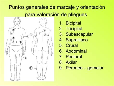 Diagrama: Puntos de medición para pliegues cutáneos tricipital, suprailíaco, subescapular y abdominal