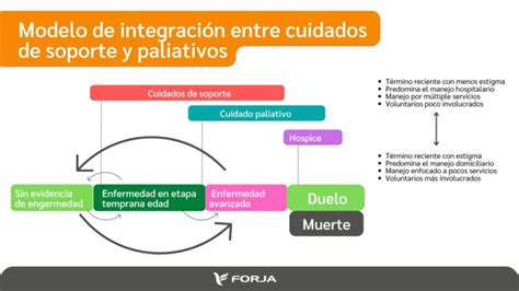 Esquema de un enfoque holístico en cuidados paliativos domiciliarios
