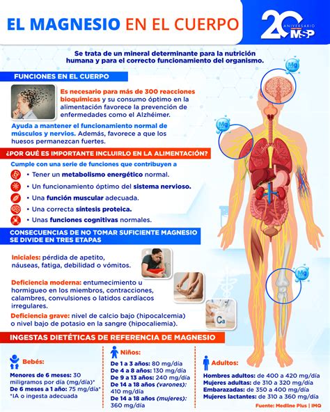 infografía sobre las causas comunes de deficiencia de magnesio