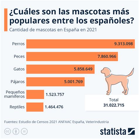 infografía con estadísticas de perros adoptados por Adopta K9