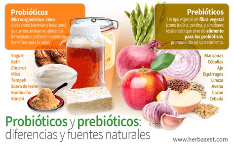 Infografía comparativa sobre cómo los prebióticos (MOS/FOS) mejoran la salud intestinal canina.