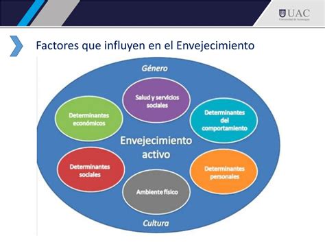 Esquema de los factores que influyen en el envejecimiento y la dependencia