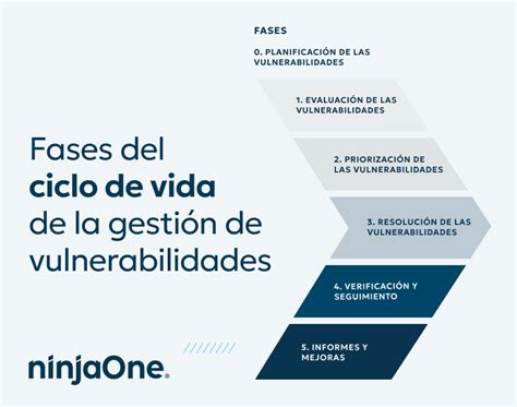 Infografía que muestra el ciclo de vida de la gestión de vulnerabilidades: identificación, evaluación, priorización, remediación y verificación.
