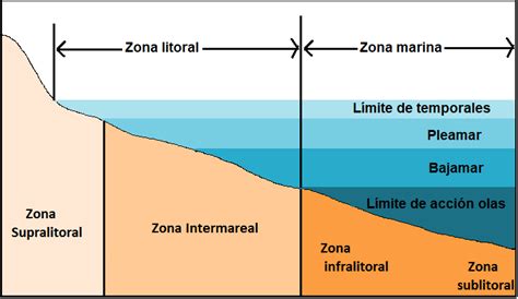 esquema de la zona de la arena y celda olvidada