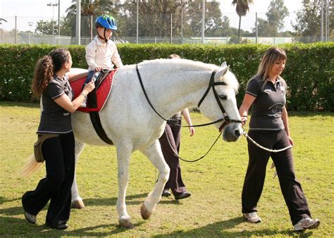Adulto mayor acariciando un caballo durante una sesión de equinoterapia