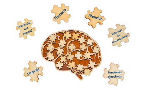 Esquema de las funciones cognitivas afectadas por el deterioro cognitivo