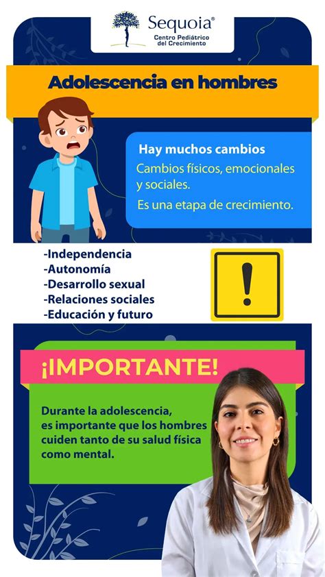 esquema de proporciones corporales masculinas en la adolescencia y adultez