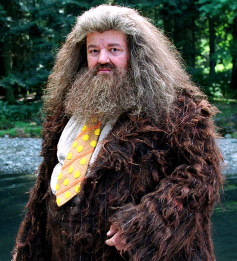 Ilustración de Rubeus Hagrid con su capa, acompañado de criaturas mágicas.