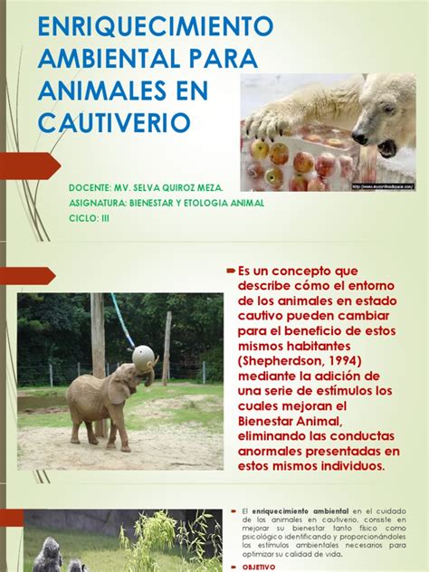 Infografía explicando los diferentes tipos de enriquecimiento ambiental para animales de zoológico
