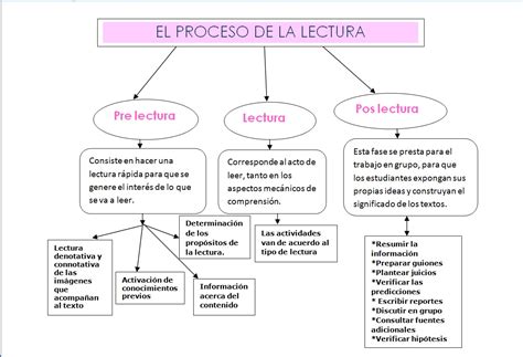 Esquema de las etapas del proceso de lectura