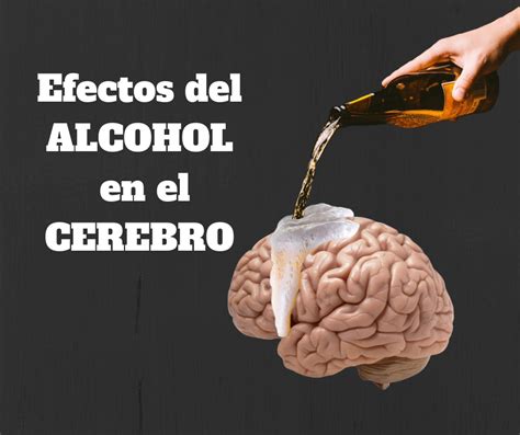 Infografía sobre los efectos del alcohol en el cerebro adolescente