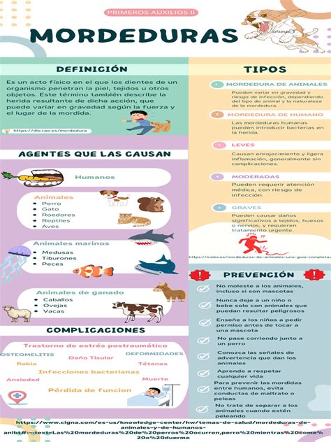infografía detallando los tipos de lesiones causadas por mordeduras de perro y sus patrones