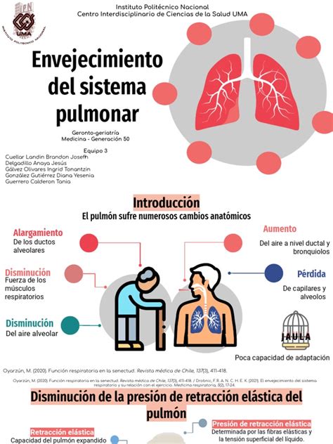 Esquema del sistema respiratorio de un adulto mayor y los efectos del envejecimiento