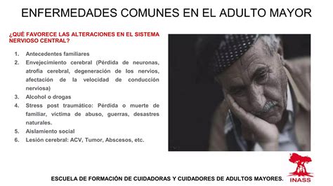 esquema o gráfico sobre afecciones de salud comunes en adultos mayores
