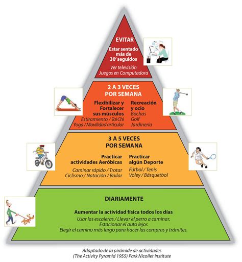 Infografía detallada de una pirámide de actividad física adaptada para personas mayores