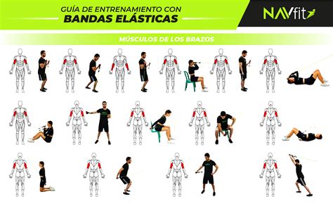 Ilustración de una persona mayor haciendo ejercicio con bandas elásticas