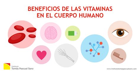Infografía: Beneficios de las vitaminas B para el sistema nervioso, metabolismo y sistema inmune