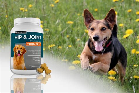 Suplementos para la salud articular de caballos