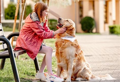 Adulto mayor acariciando a su Golden Retriever de terapia