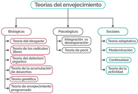 Esquema de las teorías biológicas del envejecimiento