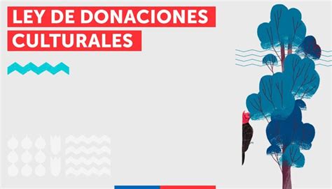 infografía sobre los beneficios y tipos de donaciones bajo la Ley 21.440