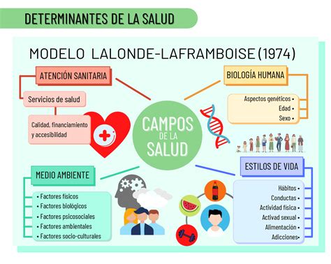 Esquema de los factores determinantes de la salud según el informe Lalonde (biológicos, estilos de vida, medio ambiente, servicios sanitarios)