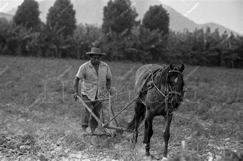 Foto de un campesino anciano trabajando la tierra bajo el sol