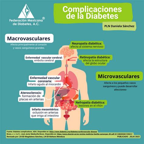 Esquema: Complicaciones de la diabetes en el adulto mayor (macro y microvasculares)