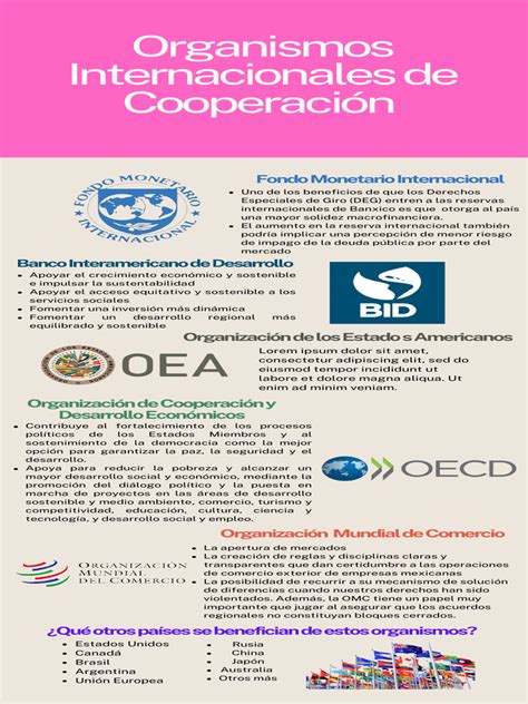 Infografía sobre organización de centros y organismos colaboradores