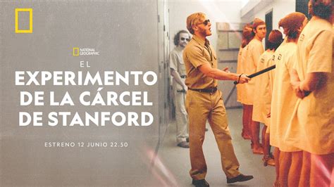 Esquema que ilustra la división aleatoria de voluntarios en el experimento de Stanford: guardias vs. prisioneros en un entorno de sótano universitario.
