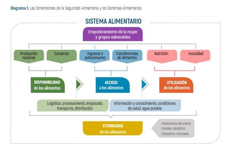 Esquema de las estrategias globales para mejorar la seguridad alimentaria