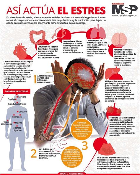 Infografía sobre los signos de estrés en cuidadores