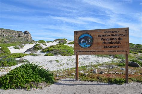 Vista aérea de las islas de la Reserva Nacional Pingüino de Humboldt