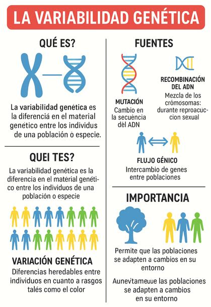 Infografía comparando la variabilidad genética en poblaciones endogámicas y exogámicas.