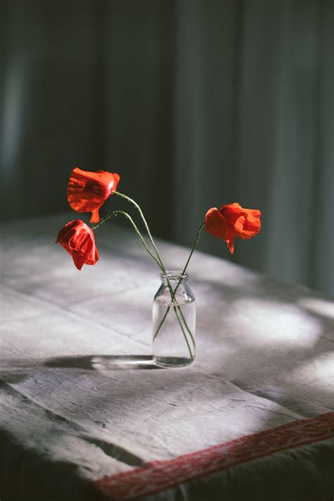 Fotografía artística que representa la intimidad y el afecto en una pareja de ancianos.