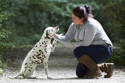 Cuidador interactuando tranquilamente con un perro en un refugio, mostrando confianza