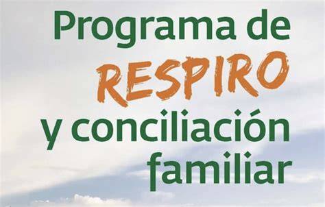 Infografía: Estructura y flujo del Programa Cuidador de Respiro