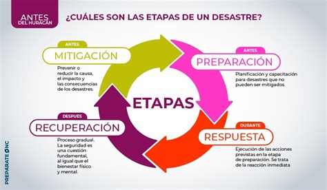Infografía: Ciclo de gestión de desastres (prevención, preparación, respuesta, recuperación)