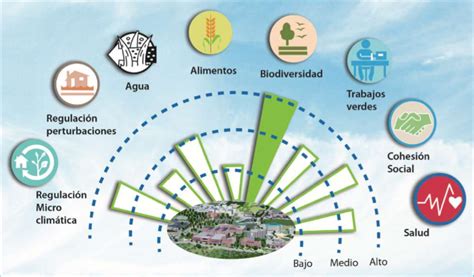 Esquema visual detallando los beneficios sociales, económicos y de movilidad para poseedores de la credencial