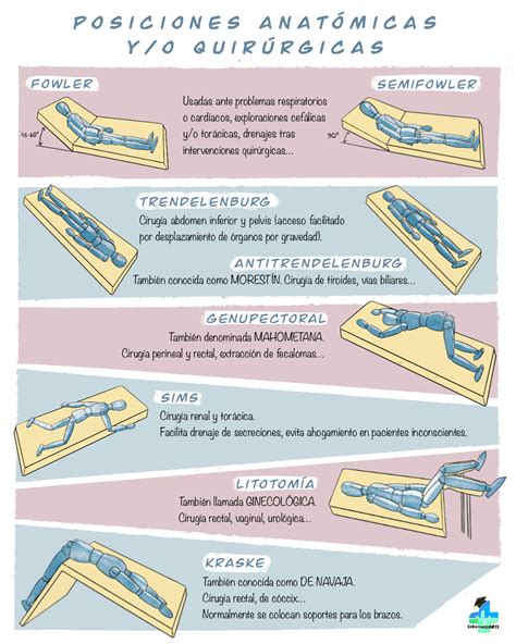 Ilustración esquemática de las posiciones y orificios involucrados en la doble penetración