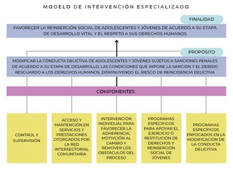 Esquema: Modelo de intervención multidisciplinar y coordinación de servicios para personas con discapacidad