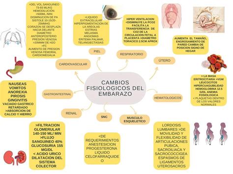 Esquema sobre los cambios hormonales y fisiológicos en la tercera edad y las soluciones médicas correspondientes (terapia hormonal, lubricantes, medicamentos).