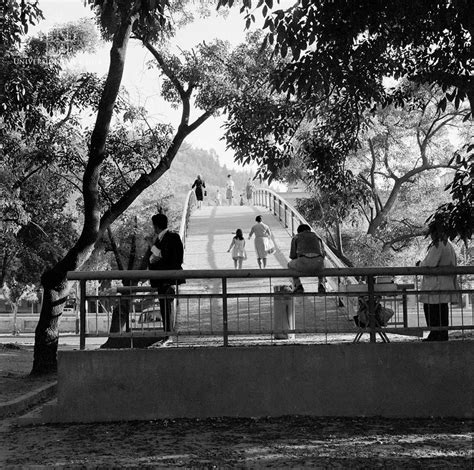 Puente Condell y su relevancia en Providencia