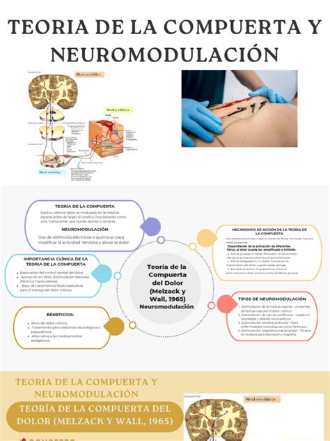 Esquema explicativo de la teoría de la compuerta aplicada a la electroestimulación nerviosa