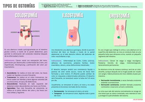 Infografía comparativa sobre los tipos de estomas (colostomía, ileostomía, urostomía) y sus necesidades básicas de cuidado.