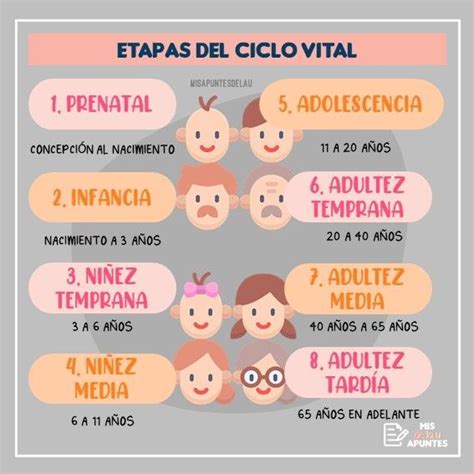 Infografía sobre las etapas del ciclo vital: desde la infancia y el diagnóstico hasta la adultez y el fomento de la autonomía personal.