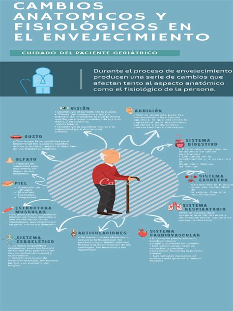 Esquema infográfico que resuma los cambios fisiológicos del envejecimiento que afectan la presentación del dolor abdominal (sistema inmune, gastrointestinal y nervioso)