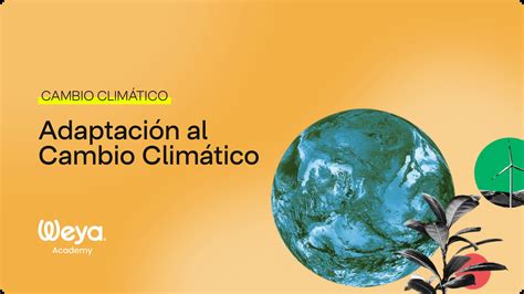 Diagrama que explica los conceptos de vulnerabilidad, riesgo y adaptación al cambio climático