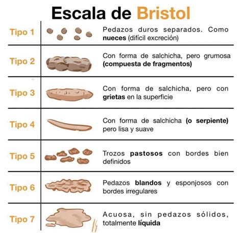 Esquema de la Escala de Bristol para la consistencia de las heces