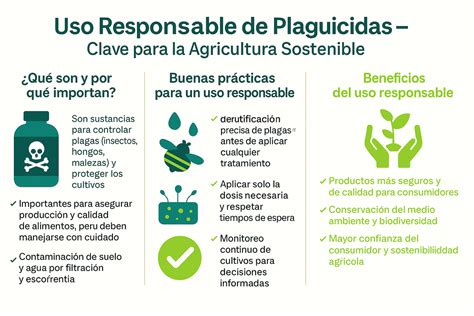 Infografía: Proceso de obtención de credencial de uso de plaguicidas